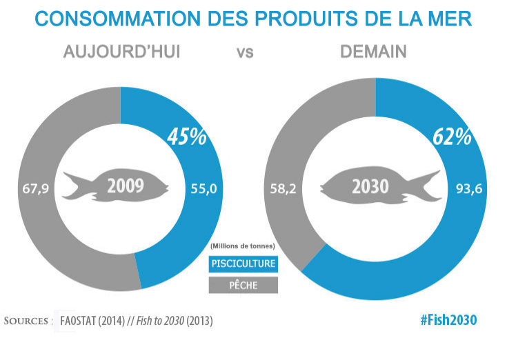 Consommation mondiale de produits de la mer